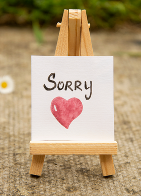 Sorry Recordable Audio Voice Greeting Card